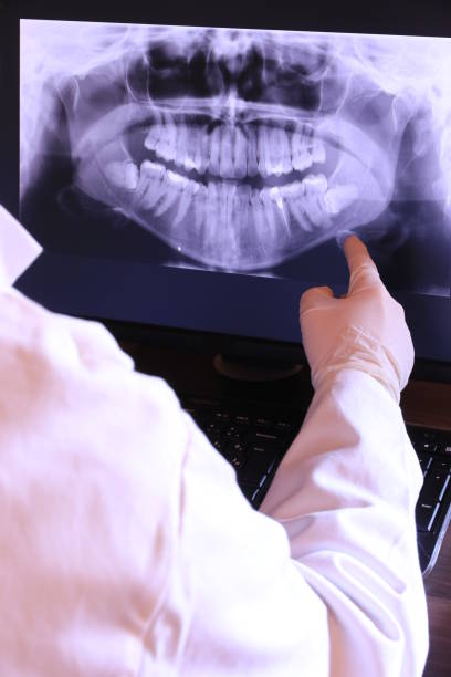 Best Emergency X-Rays and Diagnostics in Logansport, IN